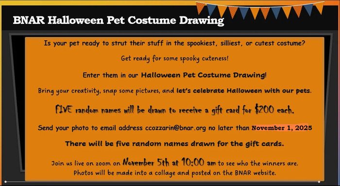 Pet Costume Drawing